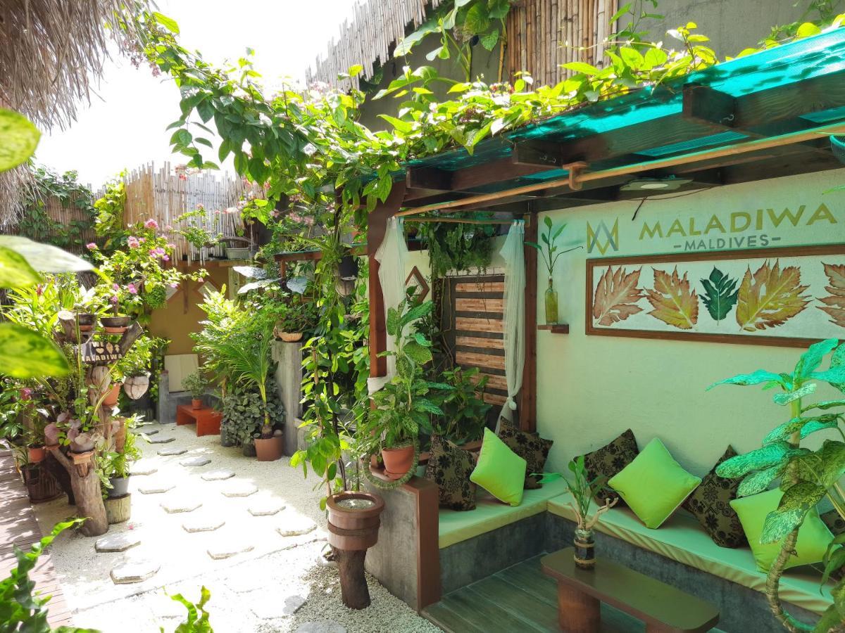 Maladiwa Beach & Spa Maafushi Exterior foto